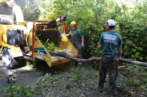 tree services Moultrie